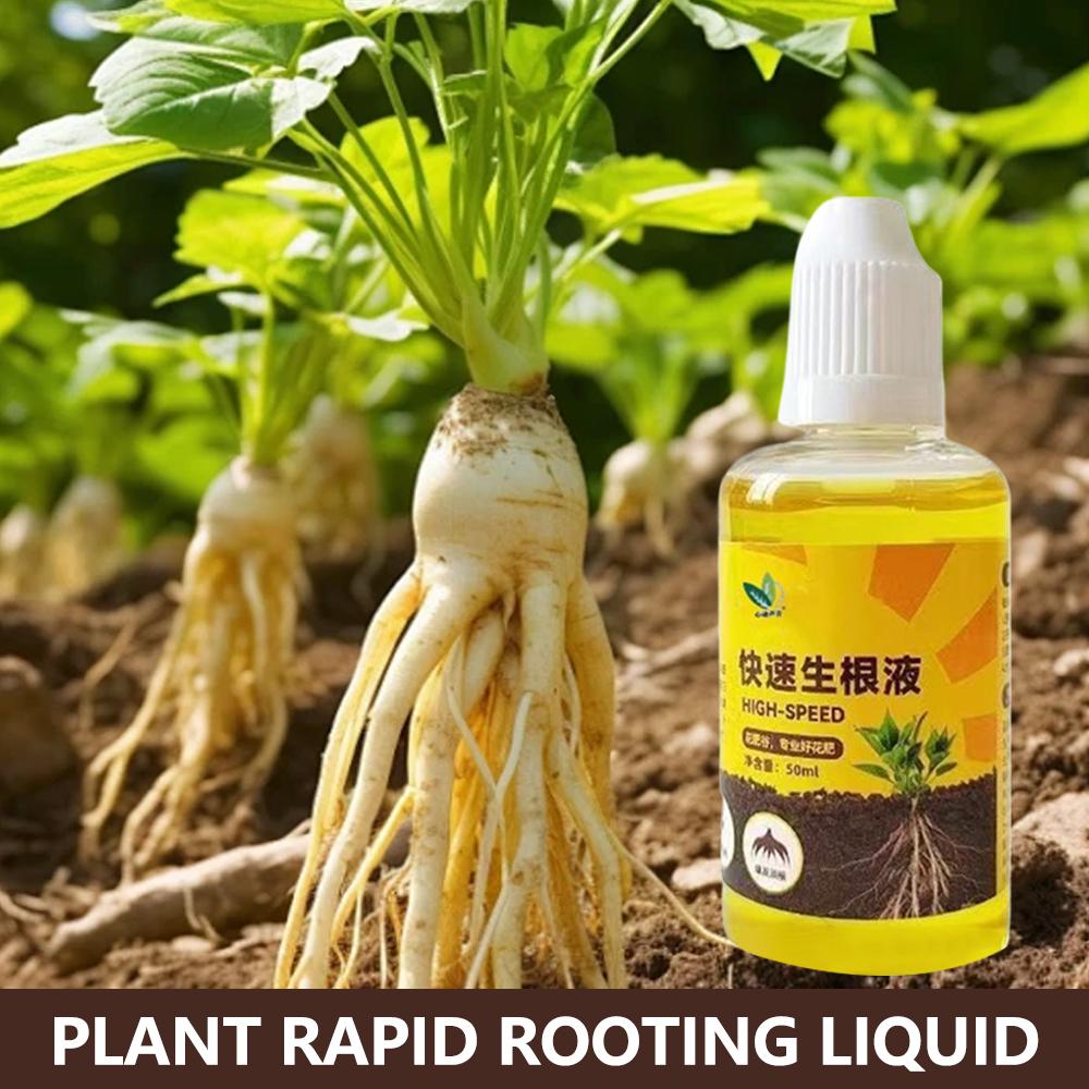 Root Stimulator Liquid - 녹색 식물 뿌리 자극제 액체 절단