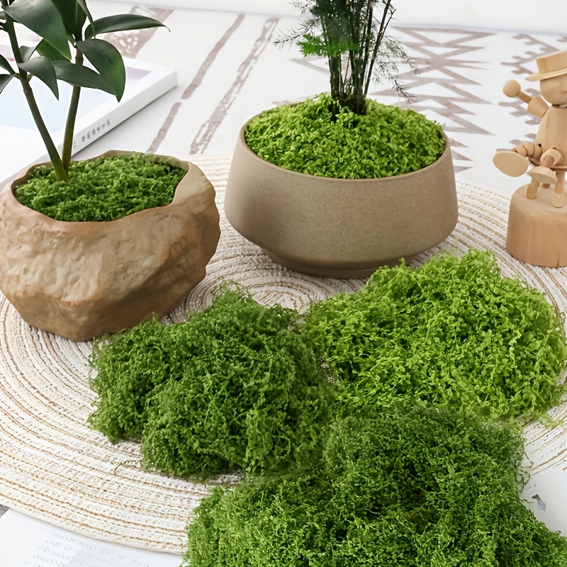 Sphagnum Moss Dry - 대형 팩 리얼리틱 인조 이끼 자연스러운