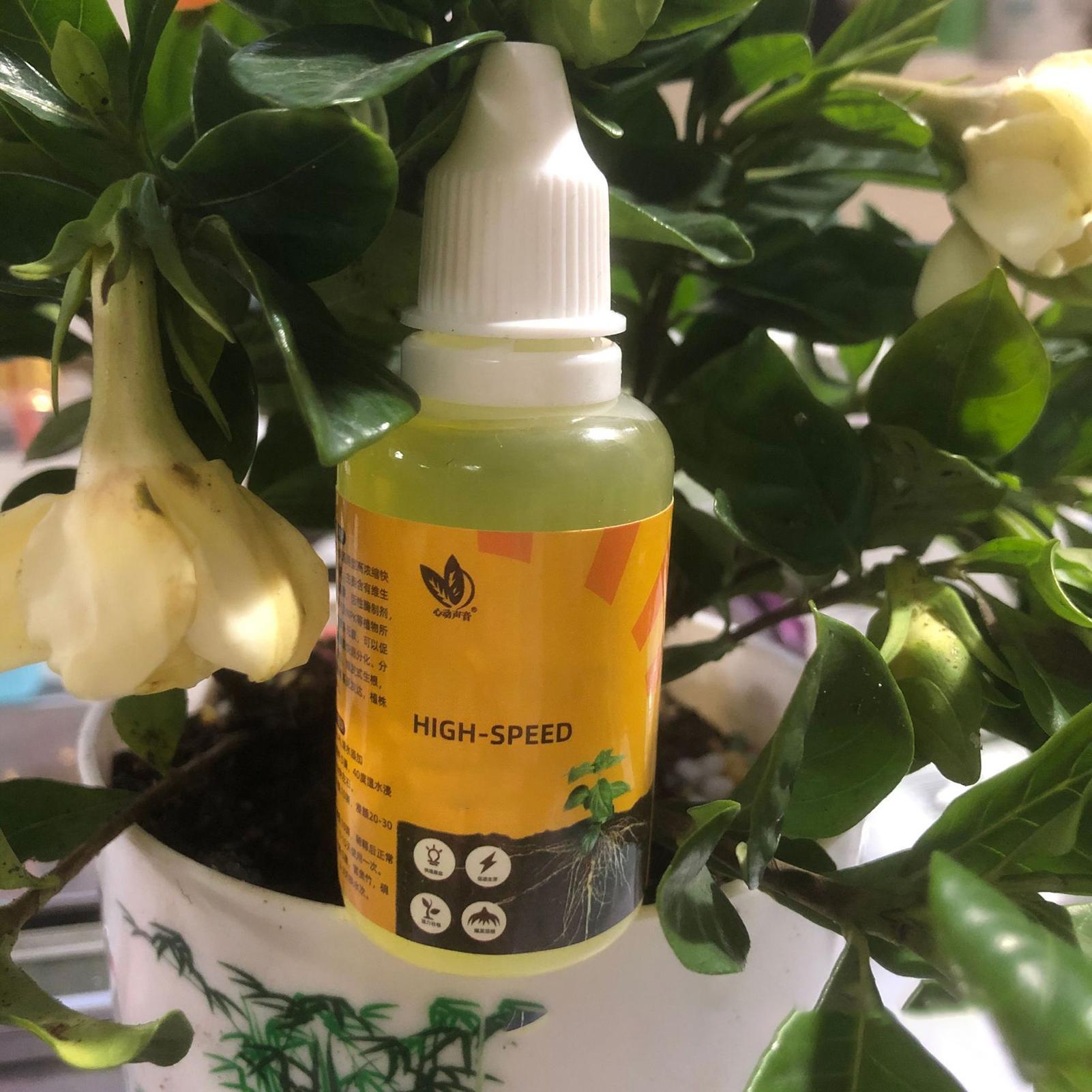 50ml 식물 뿌리 자극제 액체 식물 뿌리 부스터 액체 - Root Stimulator Liquid 리뷰 및 가격