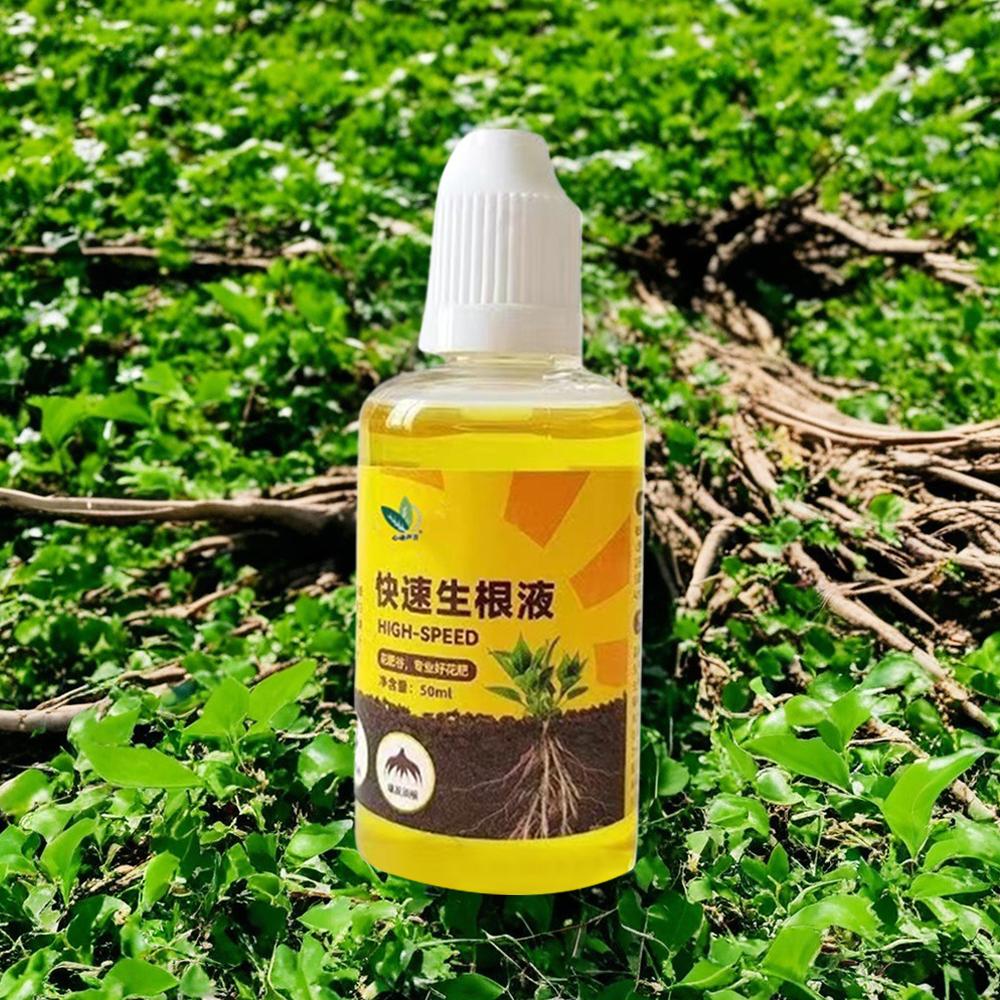 녹색 식물 뿌리 자극제 액체 절단 발근 영양제 자극제  - Root Stimulator Liquid 리뷰 및 가격